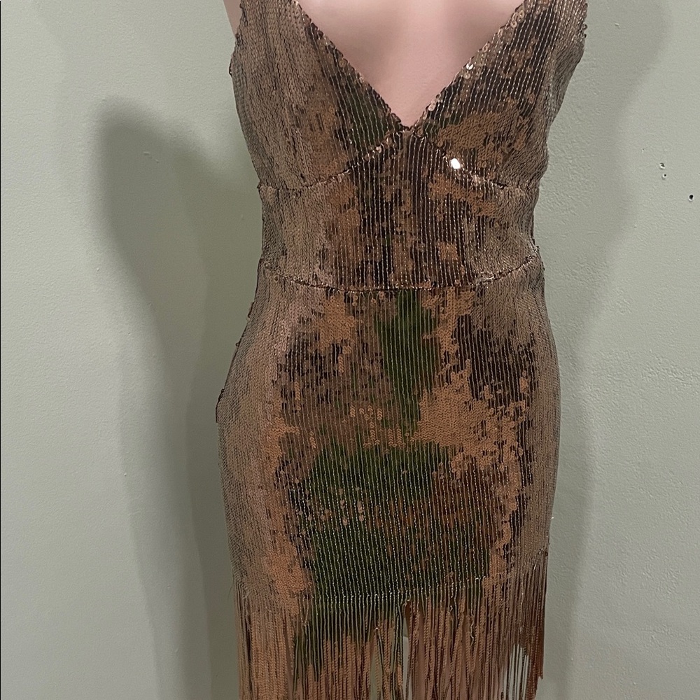Sequin Fringe Dress